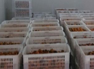 保鲜库和冷冻库的区别。